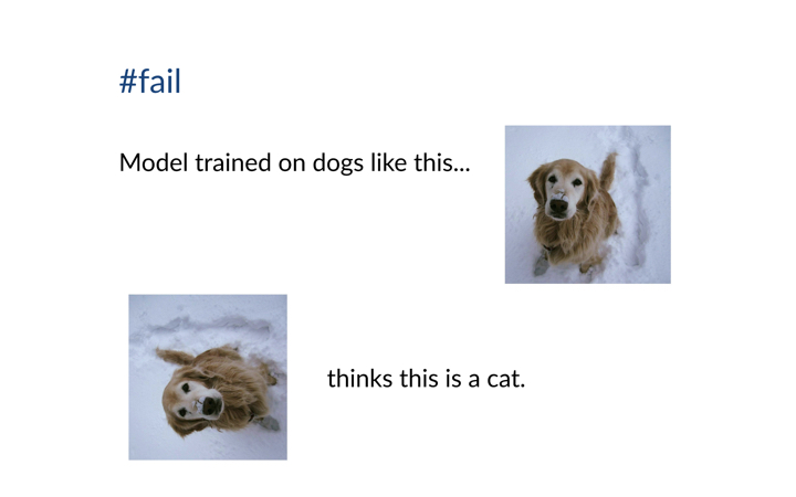 Model misclassifying a rotated dog