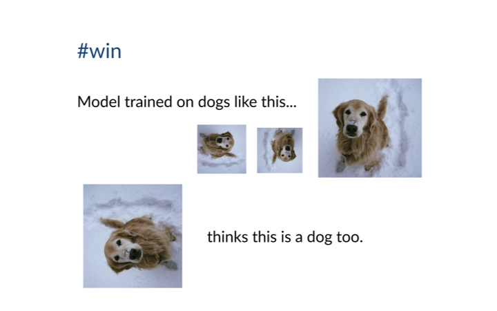 Model correctly classifying a rotated dog